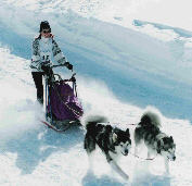 Lady ( RCACT) et Thunder au BT de Flaine 2005