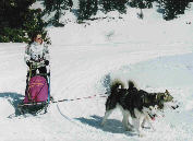 Lady ( RCACT) et Thunder au BT de Flaine 2005