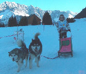 Phantom et Lady au BT de l'Alpe du grand serre 2005