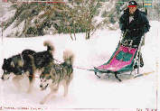 Lady et Phantom au BTdu Lac Blanc (RCACT)