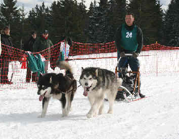 Laurent avec Amarok et Ikouma - Lac Blanc 2010