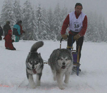 Laurent avec Amarok et Ikuma - 4me place au brevet de travail au Plateau du Retord 2009