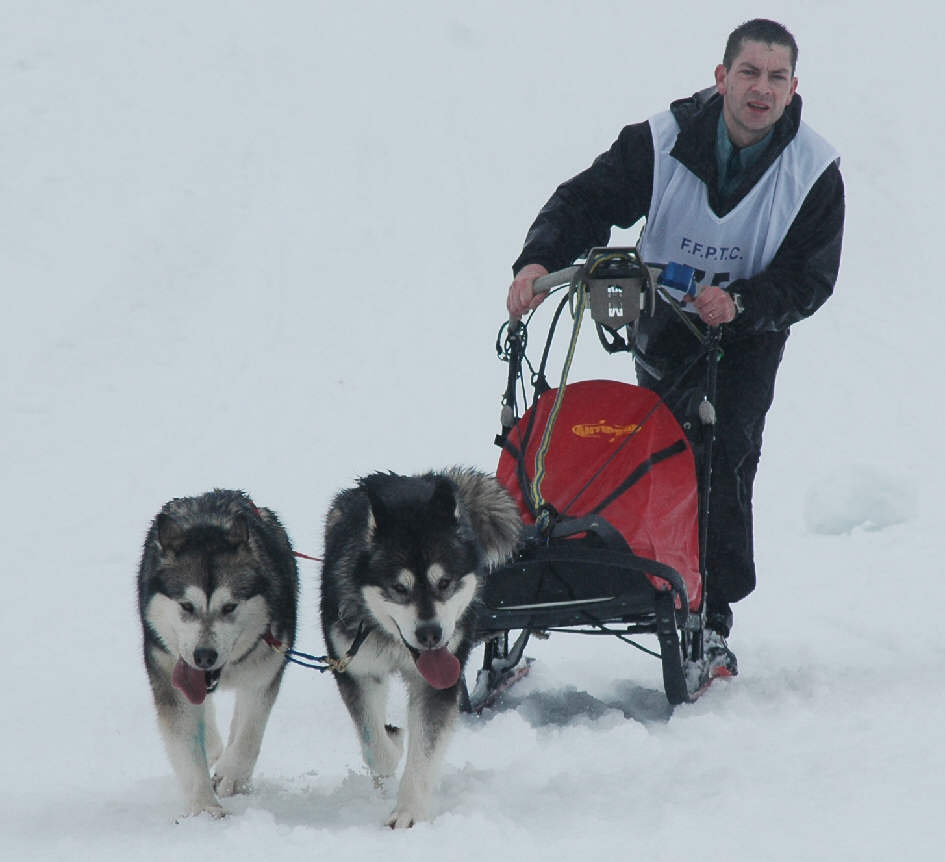 Damien avec Ibella et Kaila aux pontets MI-Distance 2015 - catégorie 2 chiens
