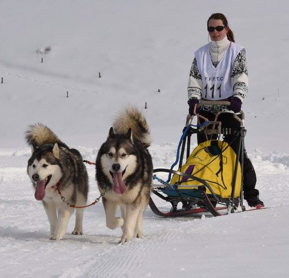 Sandrine avec Chana et Galéo aux pontets Sprint 2015 - catégorie 2 chiens