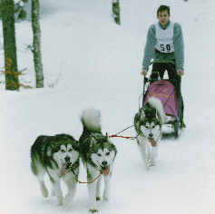 Lady, Vintuka (RCACT) et Orion (RCACT) au BT de Meaudre 2006