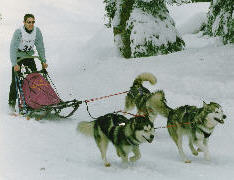 Lady, Orion (RCACT) et Vintuka (RCACT) au Championnat BT Mieussy Sommand 2006