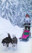 Phantom et Lady au BT de Mieussy 2005