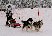 Phantom et Lady au BT de Mieussy 2005