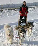 Oliday, Zara et Wolf  l'entrainement  Cuvery