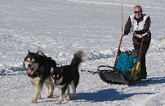 Philippe avec Tonka et Kira - 6 me place au championnat AMCF   L'alpe du Grand Serre 2009 (crdit photo Anne Miclo)