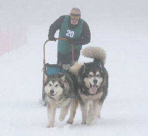 Philippe avec Tonka et China - 6 me place au brevet de travail au Lac Blanc 2009 