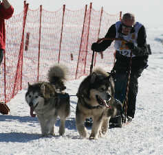 Philippe avec Tonka et Unaaq- 5 me place au brevet de travail Les Pontets 2009 
