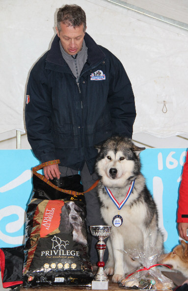 Jean-michel est champion national FFPTC Mi-Distance à la course de championnat à Meaudre 2013 avec Amarok et Cyra