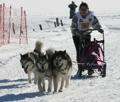 Vintuka  droite et Orion  gauche au BT Des Pontets 2009 avec Lady et Sandrine