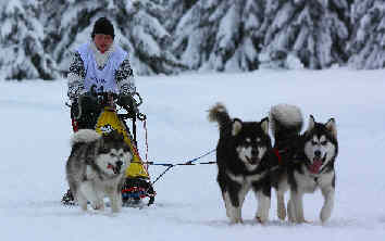 Sandrine avec Taro, Doddie et Cali - Plateau de Retord 2010