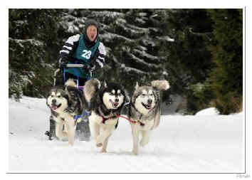 Valrie qui termine 2me avec la RCACT pour Diablesse, Dmon et Hunter - Lac Blanc 2010