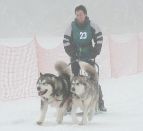 Valrie avec Hunter et Ucille - 5 me place au brevet de travail au Lac Blanc 2009 