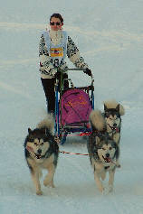 Lady (CACT), Vintuka et Orion (CACT) au BT de l' Alpe du grand serre 2006