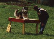 Betty  l'agility