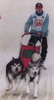 Damien, Wolf et Lady