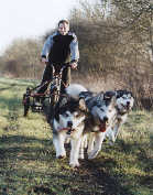 David, Wolf, Machka et Zara