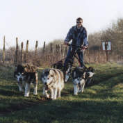 Damien, Wolf, Machka et Zara