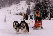 BT La Pesse Wolf et Joyce