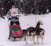 Brevet de travail : Sandrine, Wolf et Lady