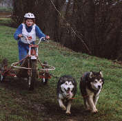 Sandrine, Wolf et Zara
