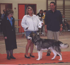 Wolf et Mme WILLHAUCK Saint Honor BISS