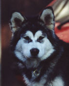 Zara 23/10/00